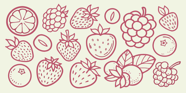 A collection of hand drawn red berries and citrus fruit sketches