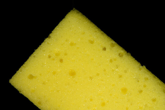 &Eacute;ponge jaune sur fond noir