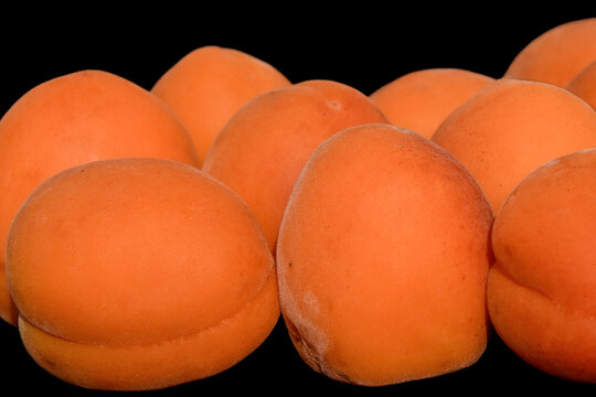 Abricots sur fond noir