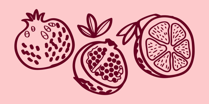 Hand drawn illustration of pomegranates and a citrus half on pink