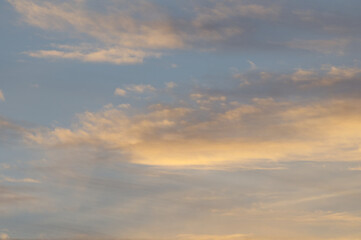 Obraz premium Beautiful soft pastel clouds illuminated by the golden light of sunrise or sunset against a pale blue sky. Perfect tranquil nature background.