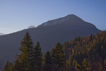 Obraz premium Majestic Alpine Mountain Landscape with Snow-Capped Peak and Evergreen Pine Forest Under Clear Blue Sky