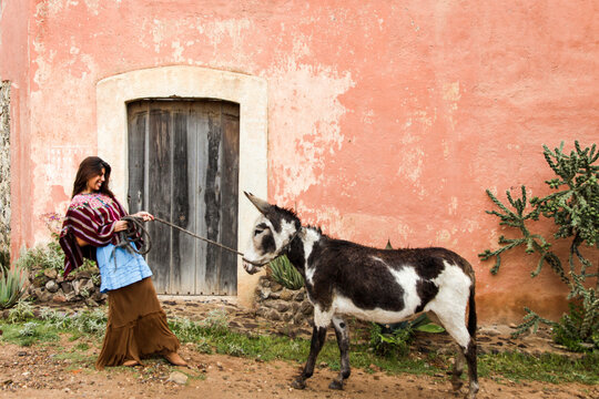 Woman in Traditional Huipil Walking Donkey in Rural Mexico Village