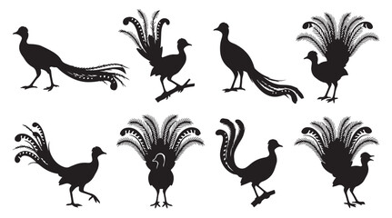 Naklejka premium black and white vector silhouette set of Lyrebird