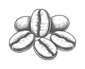 Five black and white coffee beans with central bean upright monochrome © Salam