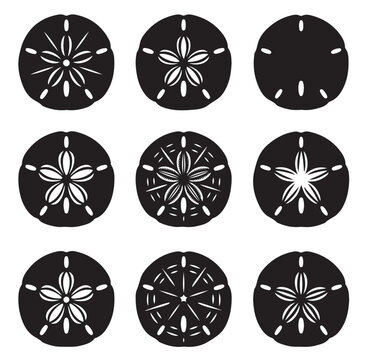 black and white vector silhouette set of Sand dollar