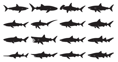 Fototapeta premium black and white vector silhouette set of Shark