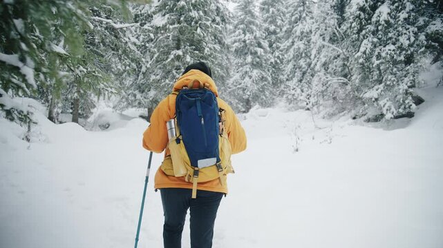 Woman hiking with poles in a snowy winter forest
