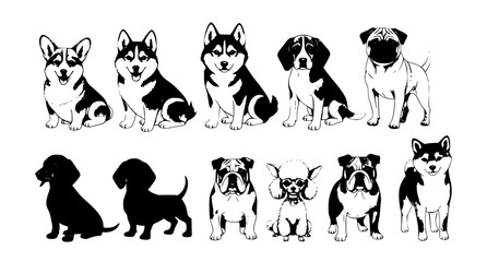 Watercolor dog breeds vector set with realistic hand painted corgi husky pug beagle labrador dachshund pets isolated on white © Md