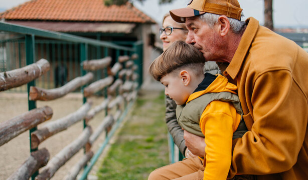 Visiting a zoo with my grandparents