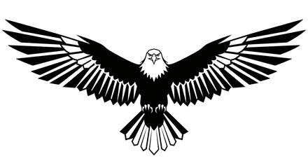 Fototapeta premium Black and white eagle flying solo.