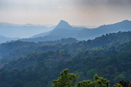 Misty dusk over the wild tropical rainforest and mountain peaks of the Western Ghats, Kerala, India