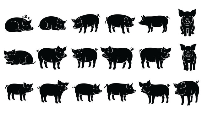 Set of Pig Silhouettes in Various Poses