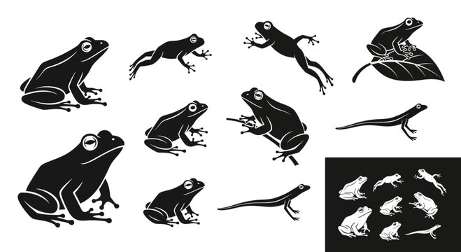 Set of Frog and Lizard Silhouettes in Various Poses