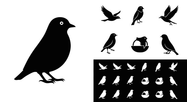 Set of Bird Silhouettes and Icons in Black and White