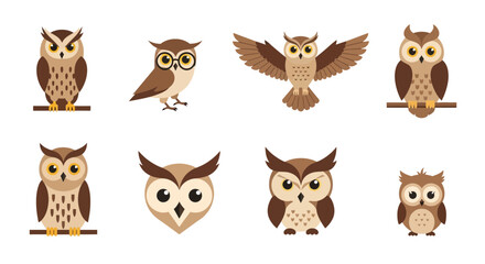 Obraz premium Set of Cute Cartoon Owl Characters in Various Poses