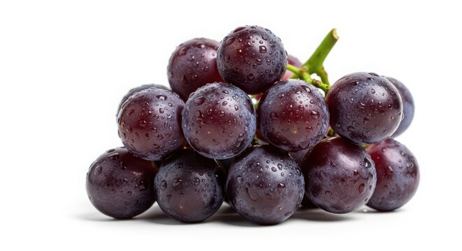Macro Shot of Fresh Purple Concord Grapes with Water Droplets