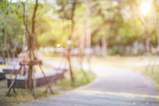 defocused bokeh background of garden trees