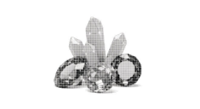 halftone illustration of a skull with rabbit ears on head