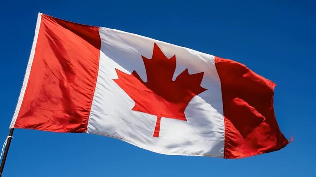 Canadian flag waving in clear blue sky