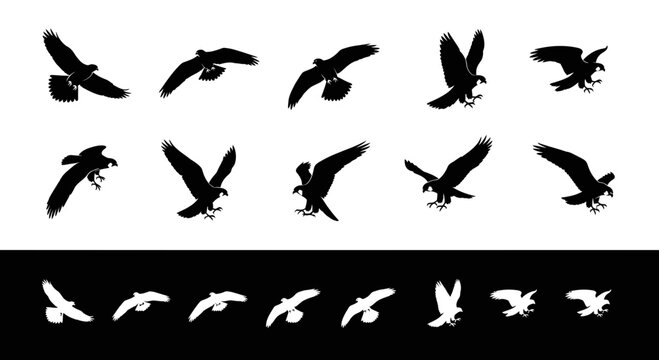 Set of Flying Eagle Silhouettes in Various Poses
