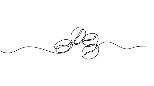 Coffee beans animation. Coffee grain continuous line drawing animated video, Coffee beans animation. Coffee grain continuous line drawing animated video, Animated self drawing of continuous line draw