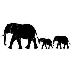 Fototapeta premium A family of elephants walking together in a line isolated on transparent background, Vector
