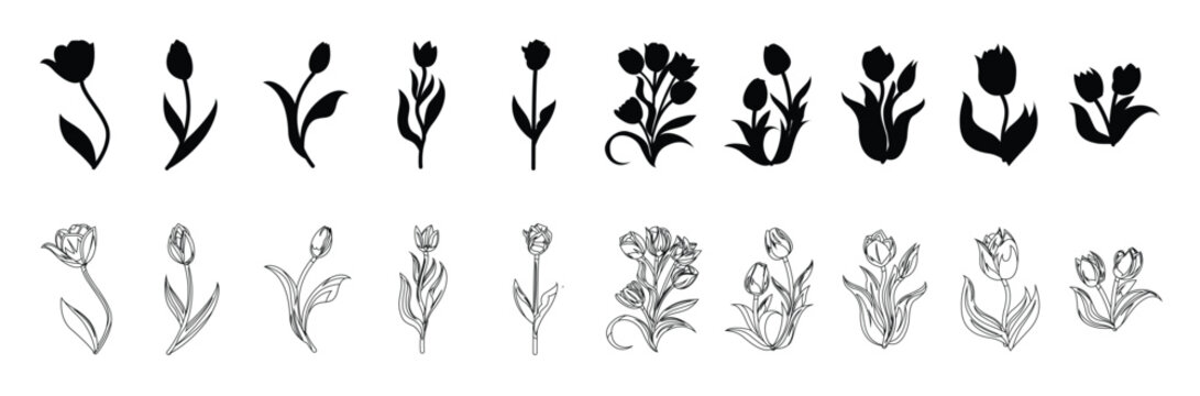 Tulip flower collection hand drawn illustration. Tulip flowers spring doodle drawing in engraving style. Spring flower silhouettes set with peony,  Vector illustration.