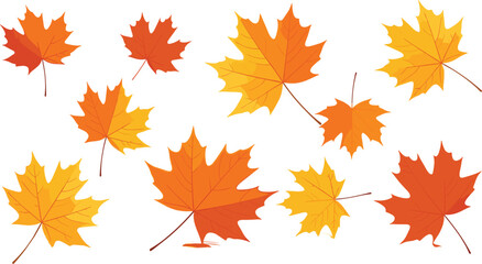 Fototapeta premium Collection of orange and yellow autumn maple leaf vector illustrations isolated on white background for seasonal fall decorations thanksgiving and nature projects.