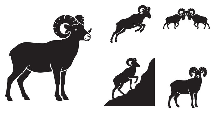 Set of bighorn sheep silhouettes, including a ram standing, jumping, climbing, and two rams fighting, on a white background.