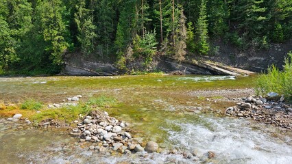 krajobraz rzeki w lato 