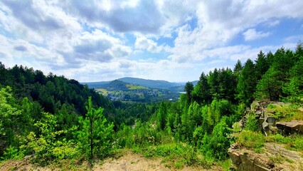 Krajobraz lasu w tle góry  © Asnyko