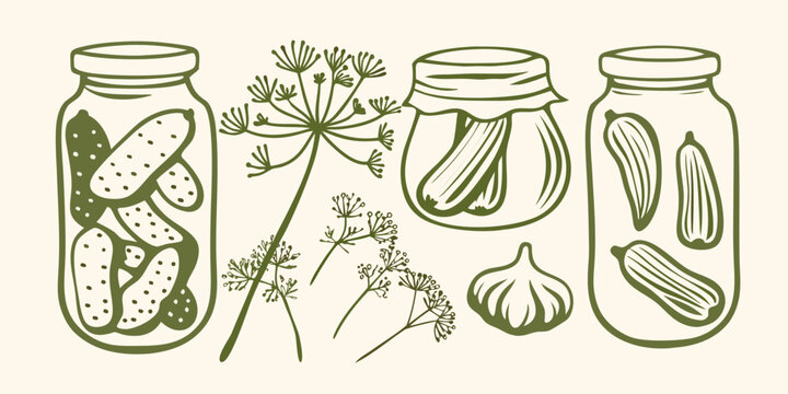 Hand drawn illustration of pickled cucumbers in jars with dill and garlic