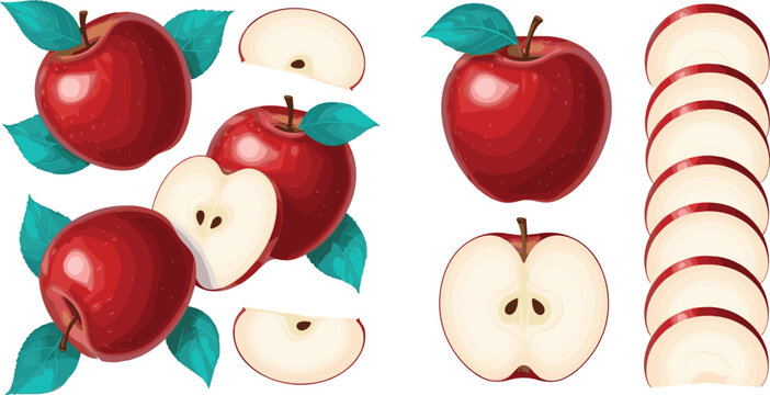 Red apple vector set with whole fruits, slices, halves and fresh juicy illustrations in realistic style