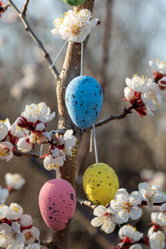 Colorful Easter eggs hanging from a flowering tree branch, showcasing vibrant hues of blue, pink, yellow, and green against a backdrop of delicate white blossoms