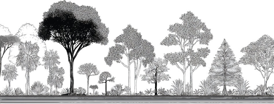 Diverse forest landscape with various trees and undergrowth rendered in monochrome linework nature