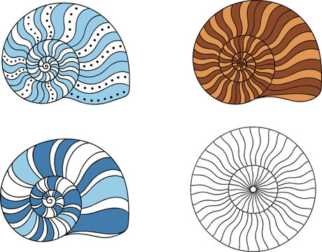 Spiral Shell Collection Featuring Nautilus Patterns in Blue, Brown, and Black for Beach and Ocean-themed Designs