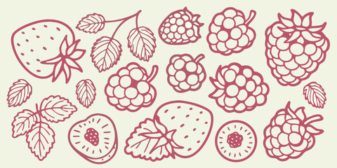 Hand drawn illustration of various berries including raspberries and strawberries © Shobuj