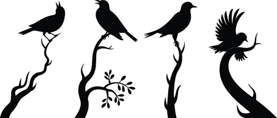Obraz premium Bird silhouettes perched on tree branches isolated on white background, black vector illustration set of singing and resting birds for wildlife nature design
