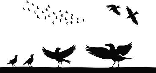 Bird silhouettes set with flying flock and perched birds isolated on white background, black vector illustration for wildlife, nature scene, and design elements © Arman's World