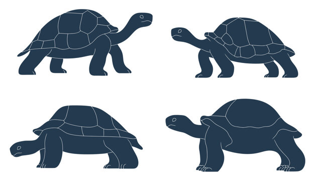 Four stylized illustrations of turtles in varying poses and angles against a white background