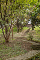 Fototapeta premium Scenic outdoor nature path with stone and dirt steps ascending a lush green tree-lined hill in a garden park setting, concept of journey.