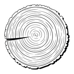 Fototapeta premium Tree Stump Vector Illustration with Annual Growth Rings