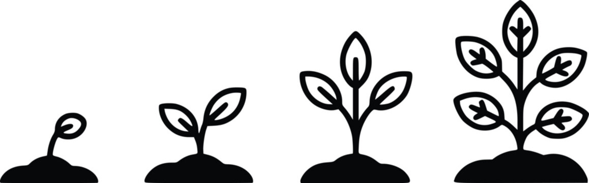 Plant Growth Stages Vector Illustration
