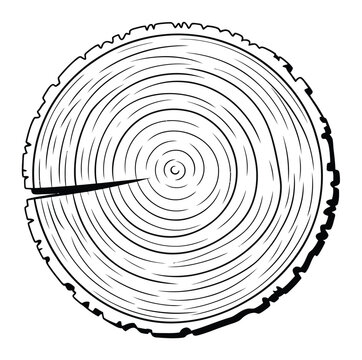 Tree Stump Vector Illustration with Annual Growth Rings