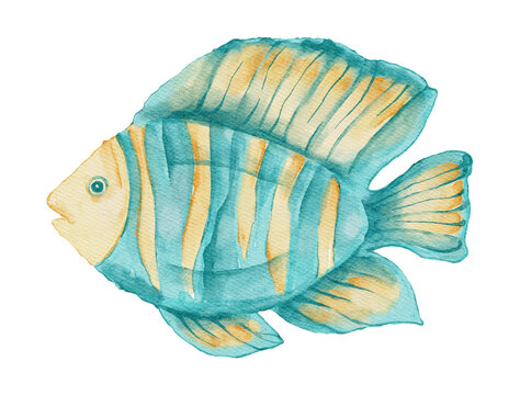 Tropical Fish Marine Sea Ocean Watercolor Reef Coastal Summer Striped Animal on a Transparent Background