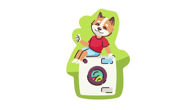 Cute fox character giving thumbs up beside washing machine animation