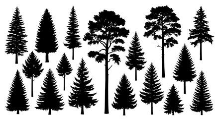Fototapeta premium Trees black silhouettes set with various pine and conifer shapes and sizes for landscape design, illustration and graphic resources