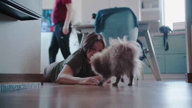 Brown pomeranian dog ignoring owner calling on kitchen floor
