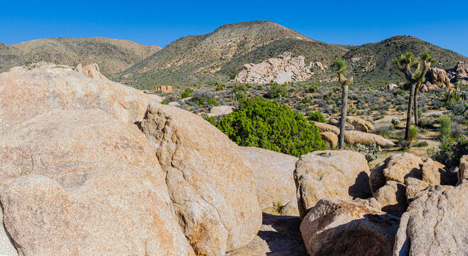 The Remains of The Historic Ryan Ranch House Seen Across The Mojave Desert, Joshua Tree National Park, California, USA